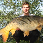 Fetter Frühjahrs-Schuppenkarpfen