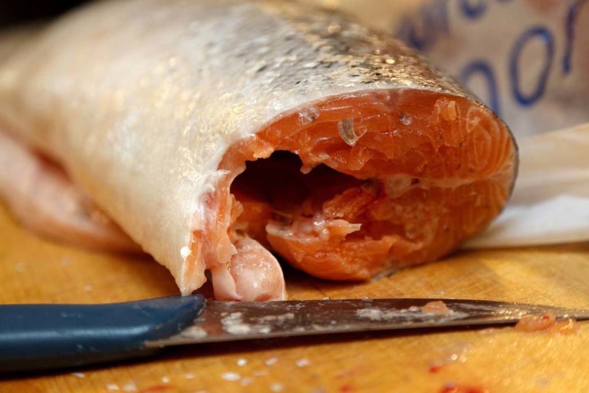 Fisch filetieren einfach gemacht. Mit unseren Tipps klappt's ganz sicher! Foto:pb/PublicDomainPictures