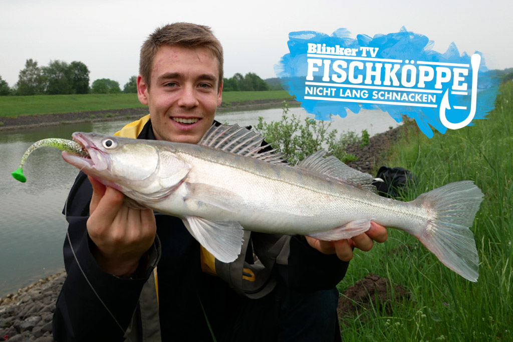 Zander Im Kanal Fischk ppe Im Tock Rausch BLINKER