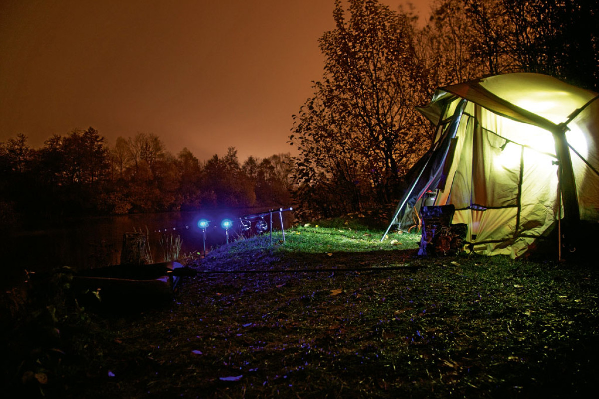 Bissanzeiger sind nicht nur in der Nacht ein unabdingbares Hilfsmittel, um Bisse zuverlässiger zu erkennen. Auch am Tag zeigen sie uns selbst die vorsichtigsten Anfasser an. Foto: BLINKER/Krause