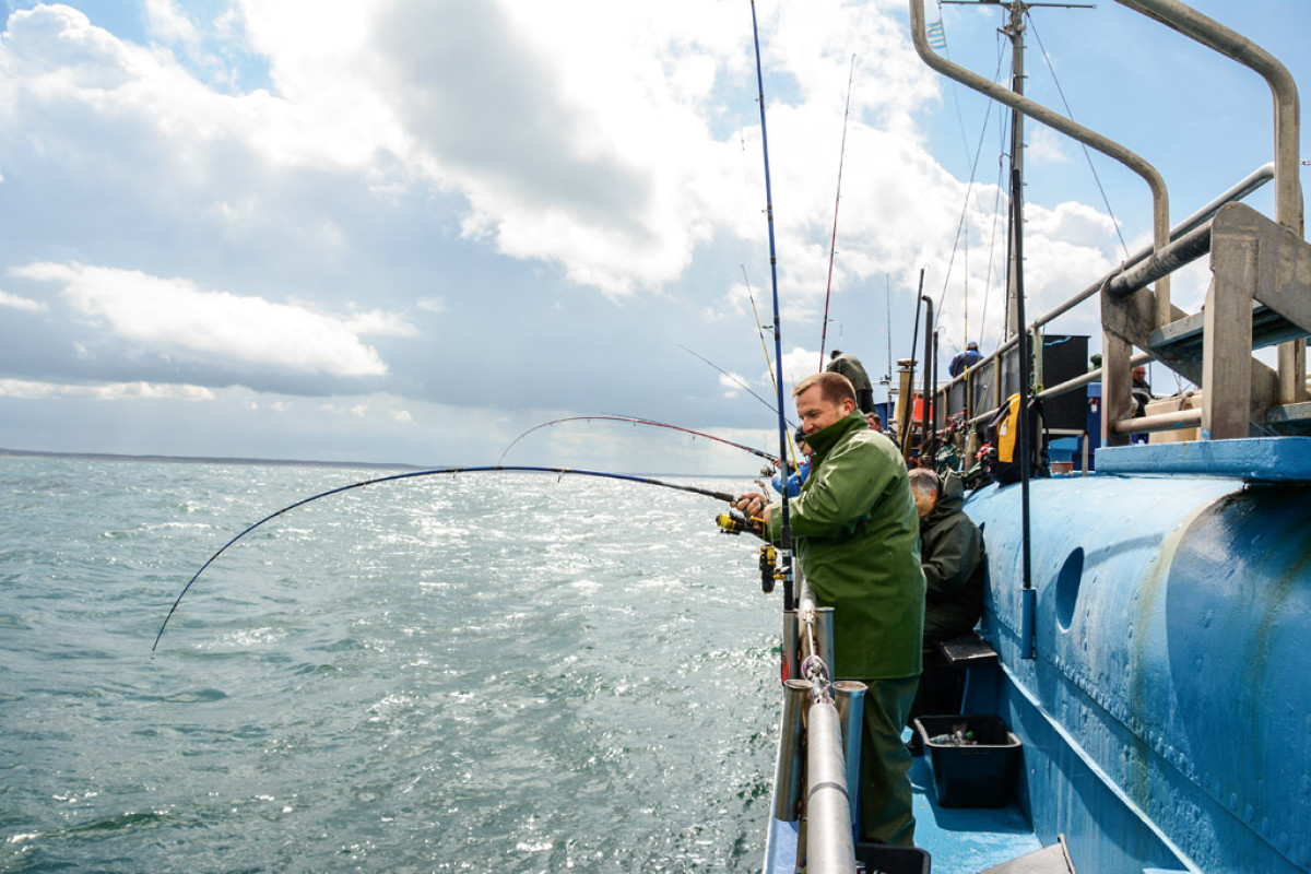 Krumme Ruten beim Hochseeangeln Nordsee und Ostsee. Foto: BLINKER/S. Rose