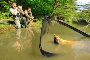 31+ Karpfenangeln Teich Mieten, 1/3 des teiches zum karpfenangeln zur