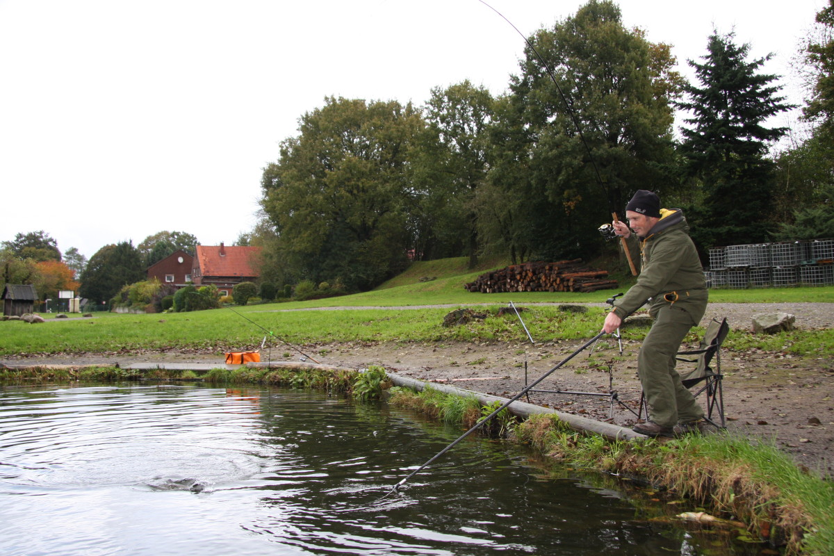 Grundangeln auf Forelle Der erfolgreiche Weg zum Fisch BLINKER