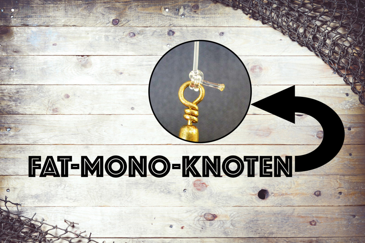 Der Fat-Mono-Knoten ist besonders bei Meeres- und Welsanglern sehr beliebt. Kein Wunder, denn diese starke Verbindung lässt sich schnell knoten, man benötigt keine weiteren Utensilien und er hält bombenfest.