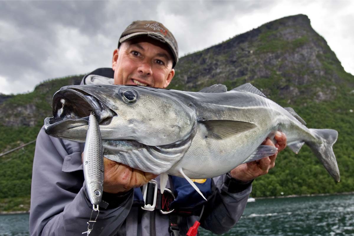 Das Angeln am Romsdalfjord beeindruckt mit landschaftlichem Reiz und großem Fischreichtum. Foto: M. Wendt