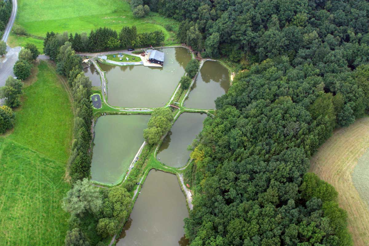 Der Angelpark Krumbachsmühle aus der Vogelperspektive. Fast alle einheimischen Süßwasserfische tummeln sich in den sieben Teichen. Foto: Angelpark Krumbachsmühle