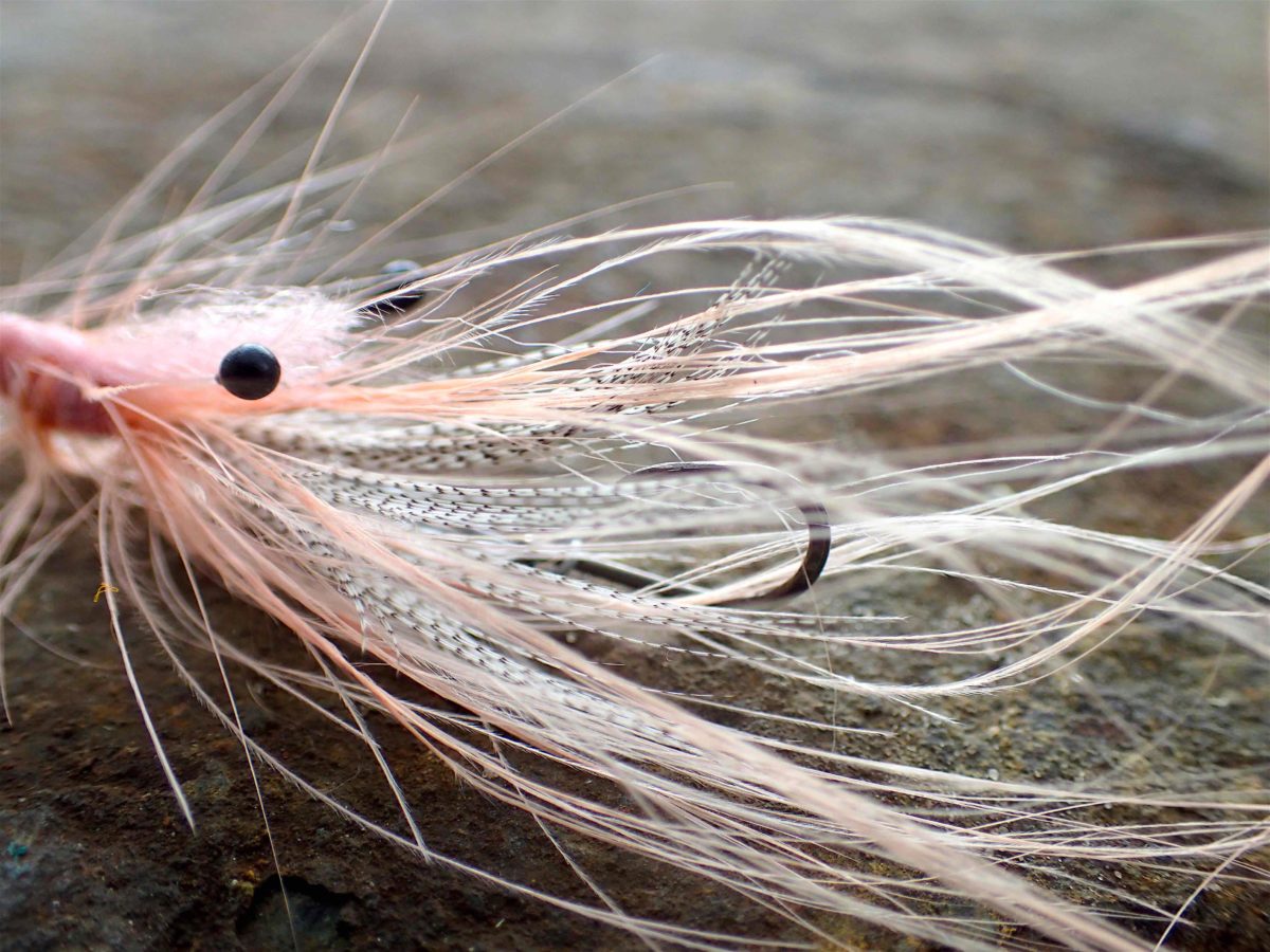 Sieht aus wie eine Pattegrisen, doch Michael Werner bindet sie als Intruder Shrimp. Der Haken sitzt hinter der Fliege in den Fühlern, und diese Veränderung schaltet Fehlbisse fast komplett aus!