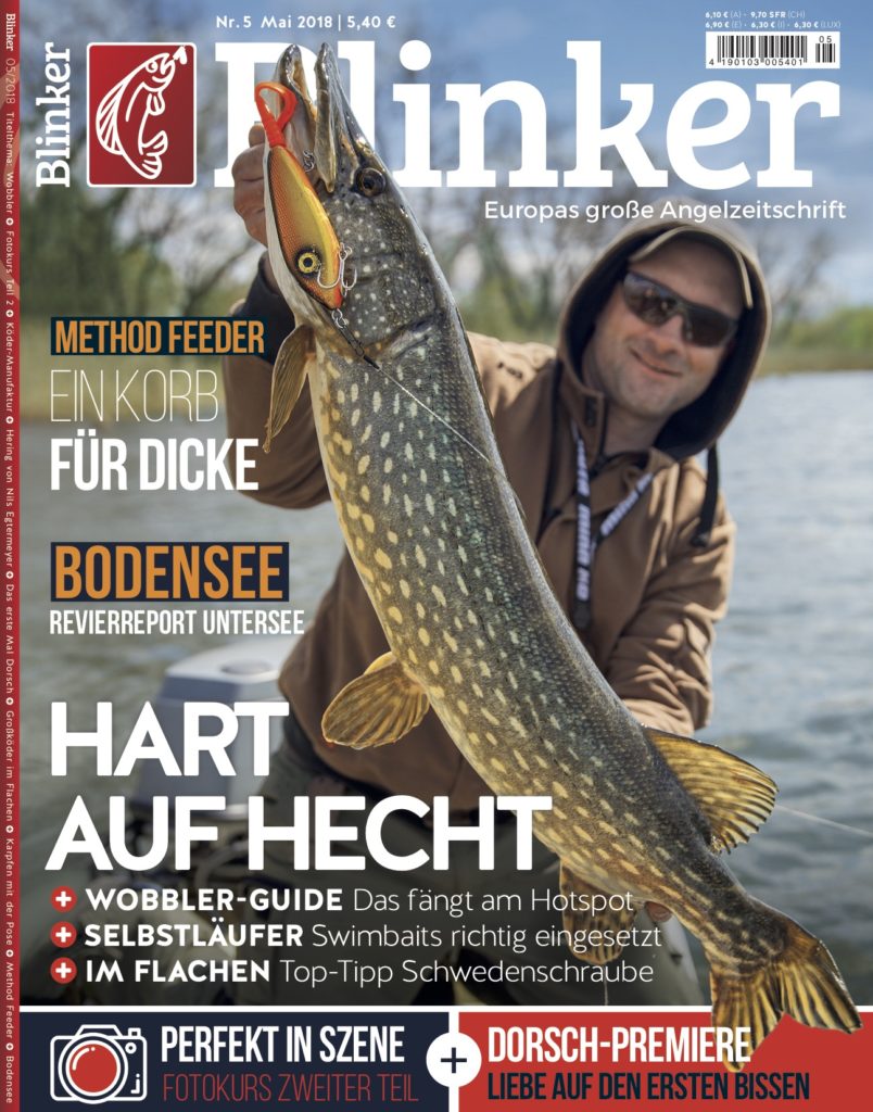 Titel Blinker Mai 2018