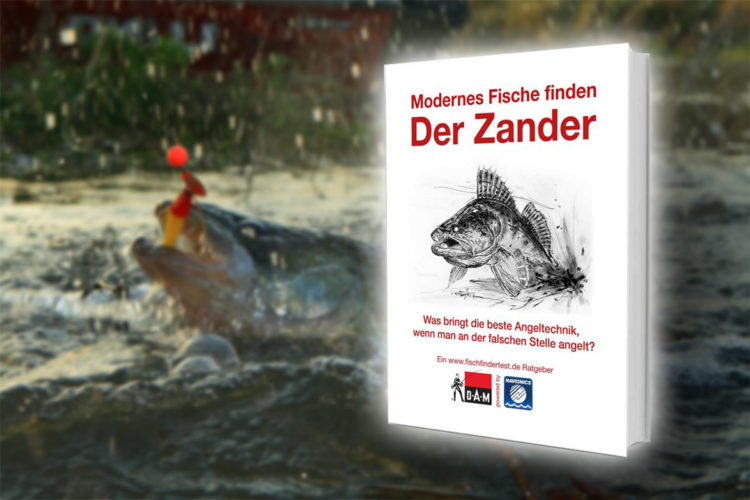 Angelbuch Empfehlung: Der Zander - Modernes Fische finden.