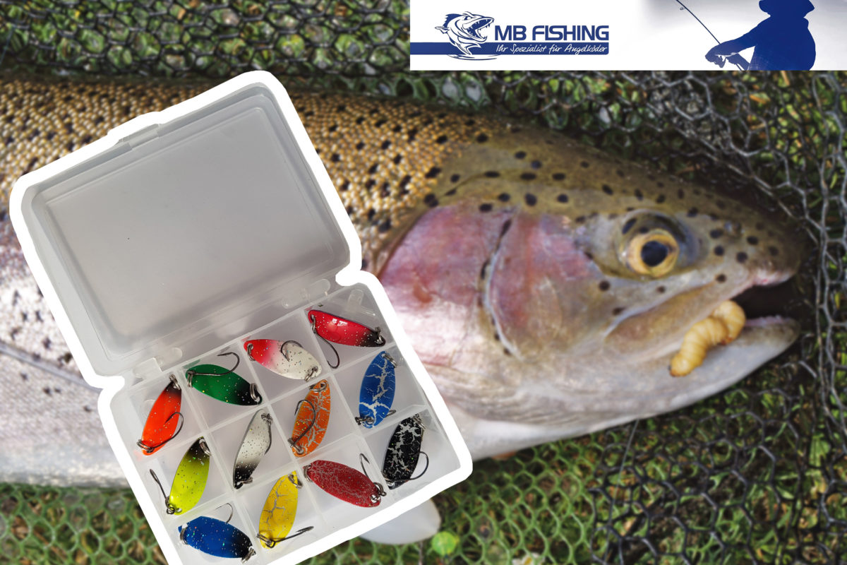 Diese Spoon-Box von MB-Fishing gibt es zu gewinnen.