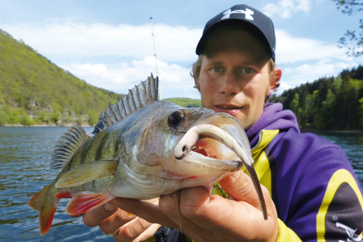 Esox Autor Stephan Gockel gibt Tips zum Barschangeln mit Gummiködern.