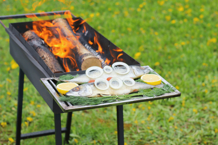 Lust auf Makrele? Wir zeigen Dir hier, wie Du leckere Makrelen grillen kannst.