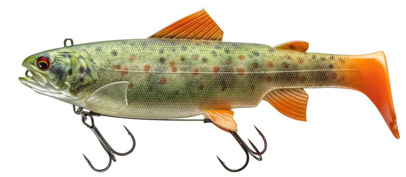 Live Trout daiwa