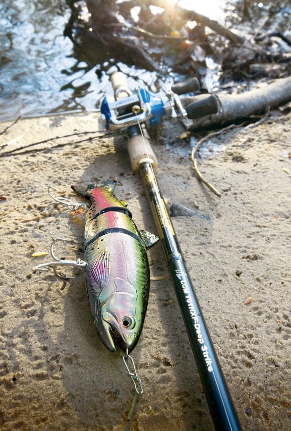 Swimbait Baitcaster