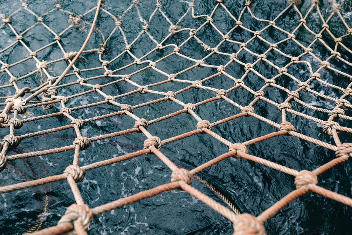 Die von der EU-Kommission geplanten Ostsee-Fangquoten für Berufsfischer und Meeresangler sind vom Tisch. Die aktuellen Änderungen erfährst Du hier.