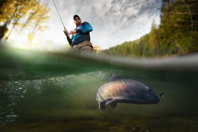 Egal ob aktiv oder passiv auf Forellen angeln: In den Forellenseen in Deutschland findet jeder seinen passende Angelmethode und natürlich auch seinen Zielfisch.