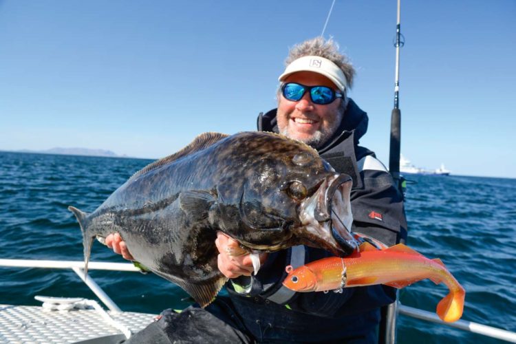 Beim Angeln auf Hitra sind Heilbuttfänge zur Saison möglich, wie hier Autor Rainer Korn mit diesem Fisch zeigt. Foto: R. Korn