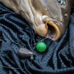 Pop-Up Boilies sind absolute Top-Köder zum Angeln auf Karpfen. Foto: F. Pippardt