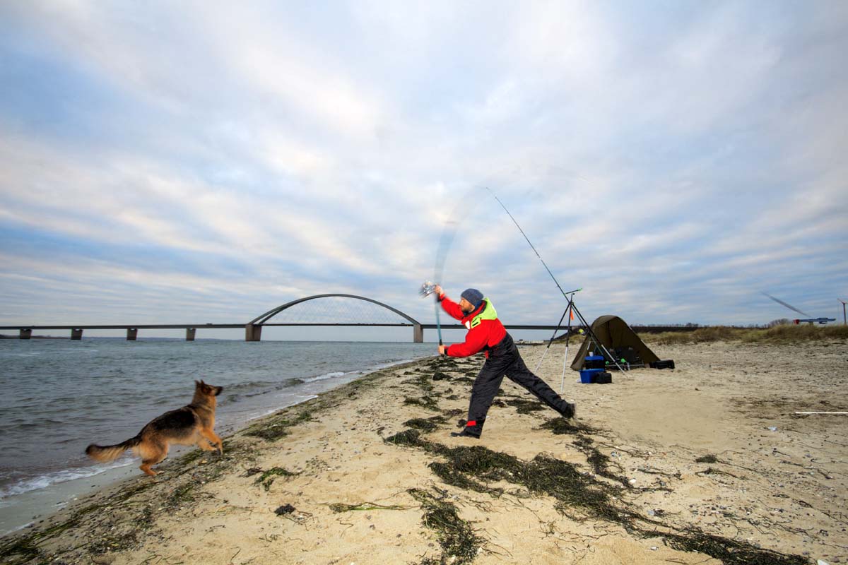 Beim Angeln auf Fehmarn, kann jeder Angler seinen Zielfisch fangen! Foto: Blinker/Lars Berding