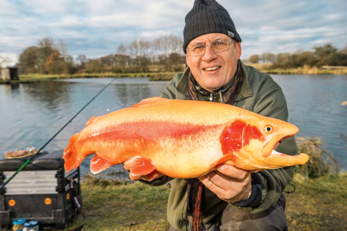 Solche kapitalen Goldstücke lassen sich nicht nur im Winter, sondern auch in den Sommermonaten in den zahlreichen Forellenseen in Nordrhein-Westfalen fangen. Foto: BLINKER