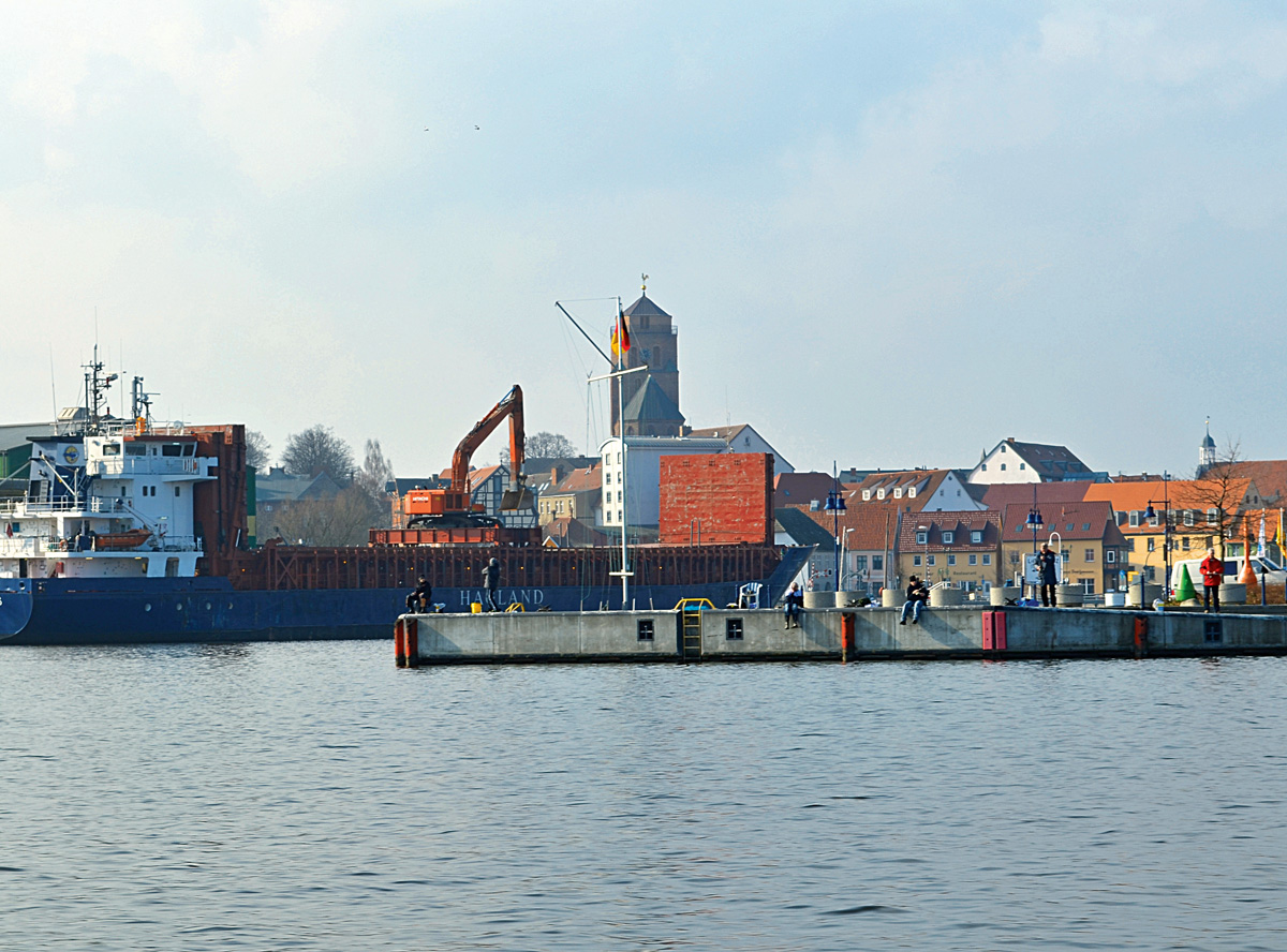 Im Wolgaster Hafen in treibt ein großer Teppich an toten Fischen umher. Foto: BLINKER