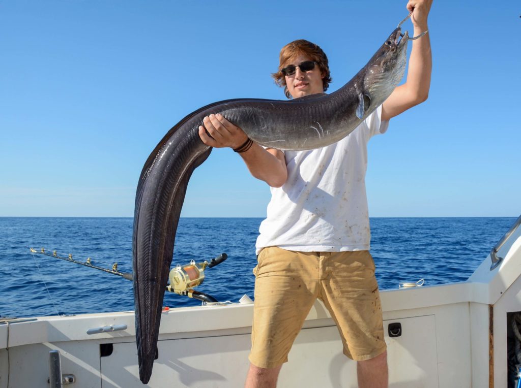 Conger
