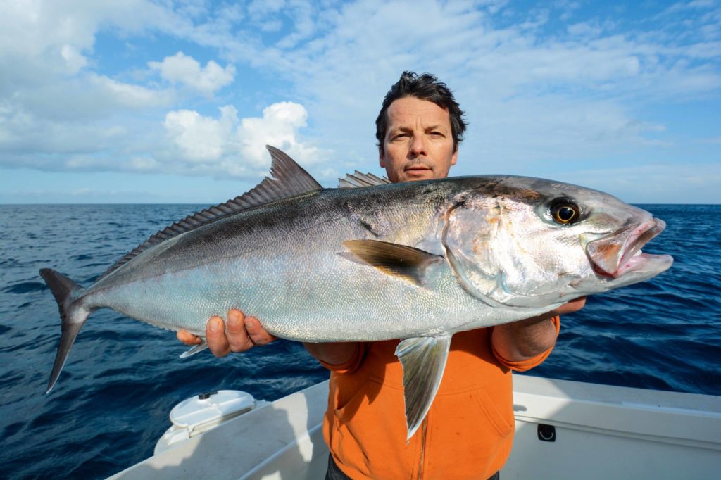 Amberjack