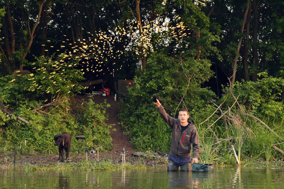 Ein Angler steht im Wasser und bedient sich der Methode des Anfütterns.