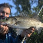 Angler mit Wolfsbarsch, der einen Gummifisch am bebleiten Offsethaken gefressen hat