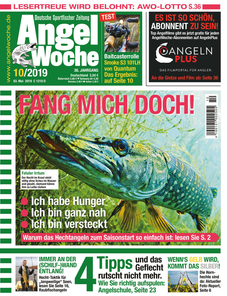 AngelWoche Ausgabe 10/2019