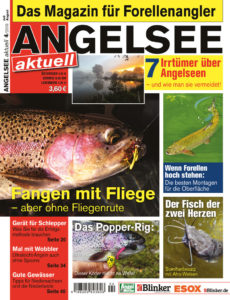 04_2019_angelsee-aktuell