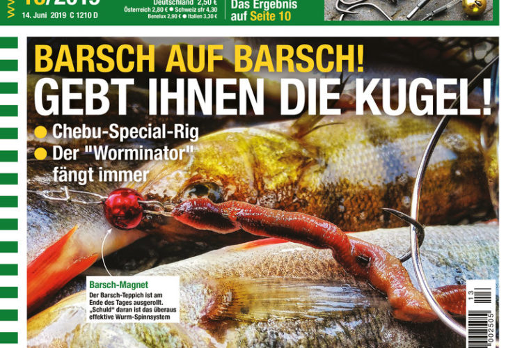 Pisces Mann aus einer Skorpio-Frau