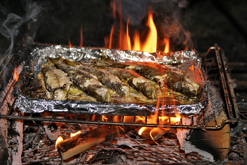 Schnell ein paar Freunde eingeladen und es kann losgehen: Frisch gefangener Fisch auf dem Grill - ein tolles (Geschmacks-)Erlebnis. 