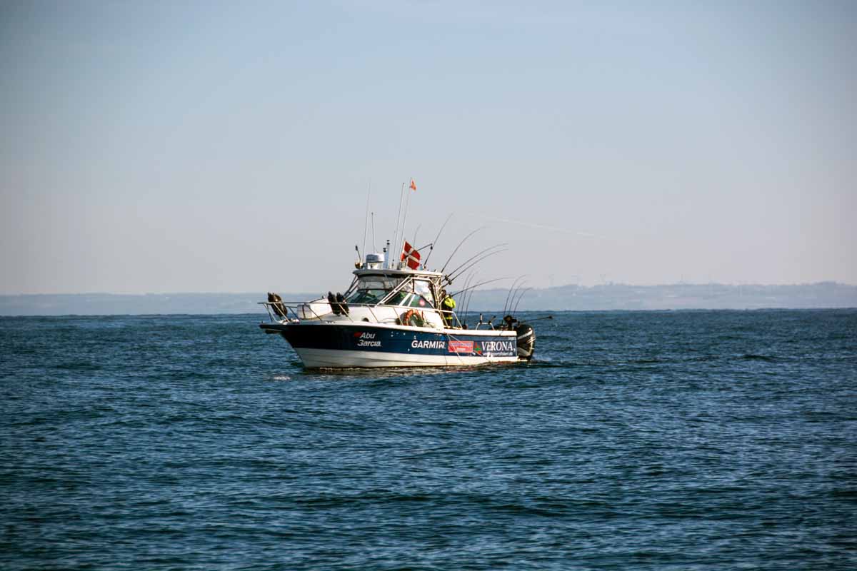 Bornholm bietet besonders für Bootsangler traumhafte Bedingungen auf große Lachse und Meerforellen.