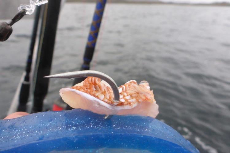 Kunstköder mit Fischfetzten
