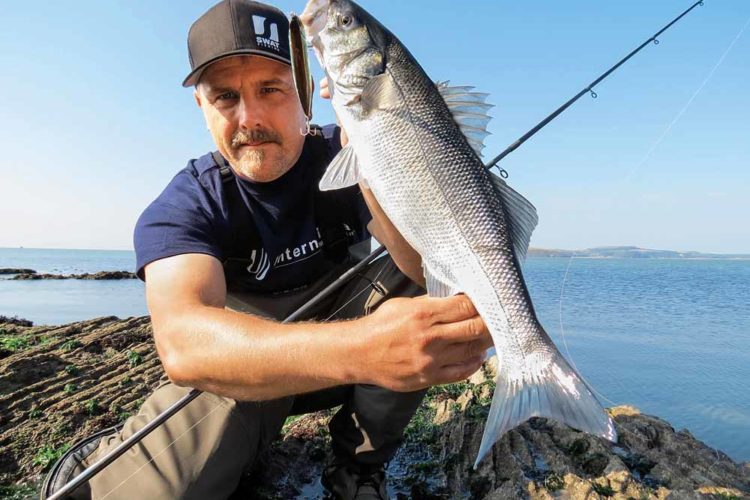 Das Wolfsbarschangeln auf die Salzwasser-Barsche kann süchtig machen. Beim Oberflächenangeln explodiert förmlich die Wasseroberfläche, wenn die Räuber Jagd auf den Köder machen.