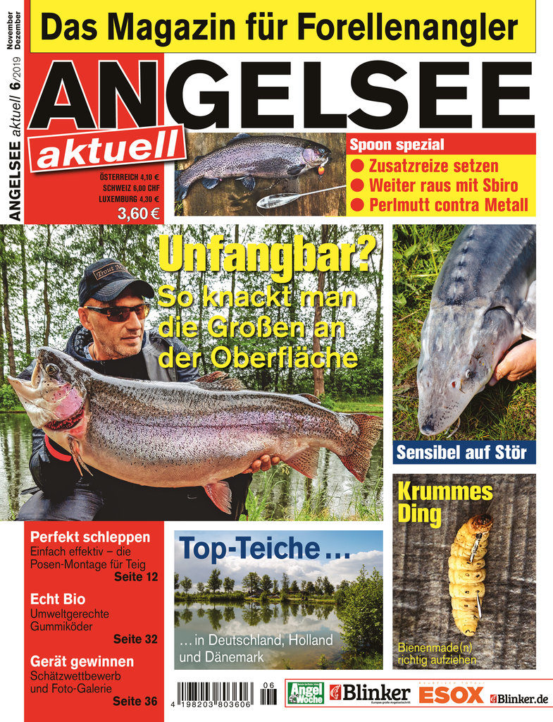 ANGELSEE_AKTUELL_06_19