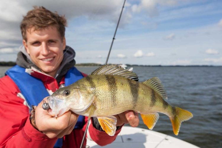 Das Angeln in Mecklenburg-Vorpommern bietet eine breite Facette an Gewässern und Fischen. Nicht umsonst ist es mit eines der beliebtesten Reiseziele für Angler.