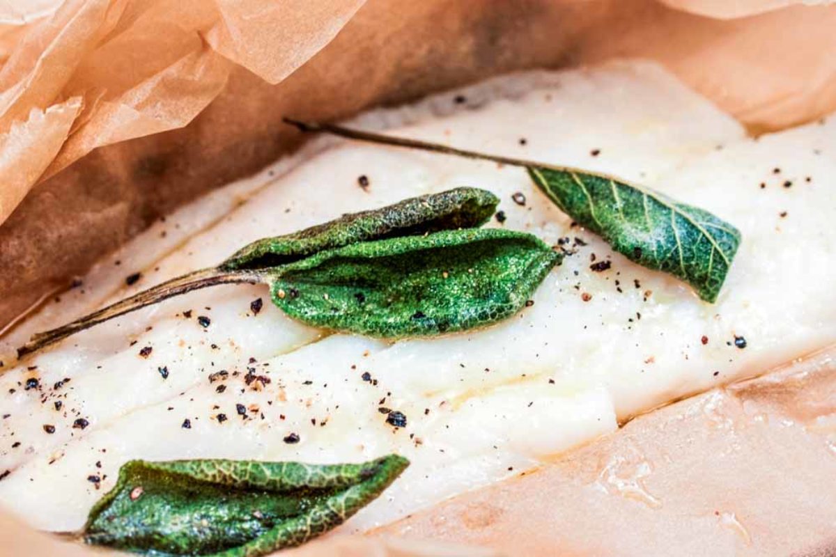 Welsfilet mit Champignoncreme - BLINKER