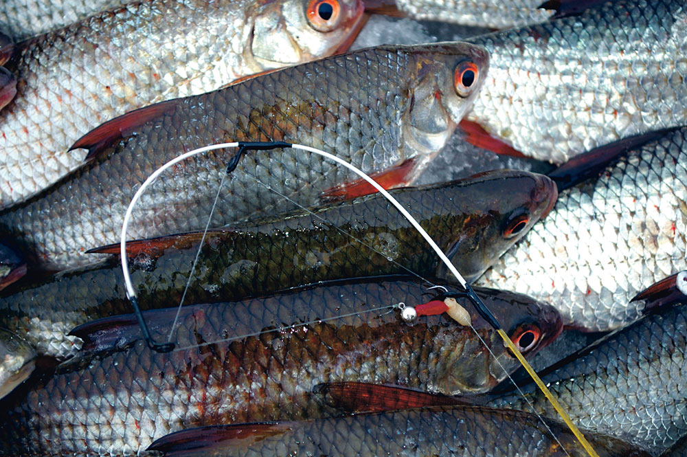 Die Spitze einer Mormyschka-Rute kann gar nicht fein genug sein. Sie zeigen die vorsichtigen Bisse der Fische sehr deutlich an. 