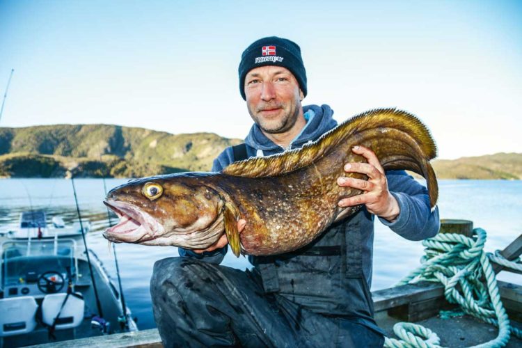 Egal ob Süß- oder Salzwasser: Ein Angelurlaub in Skandinavien verspricht tolle Fangmöglichkeiten in atemberaubender Naturkulisse.