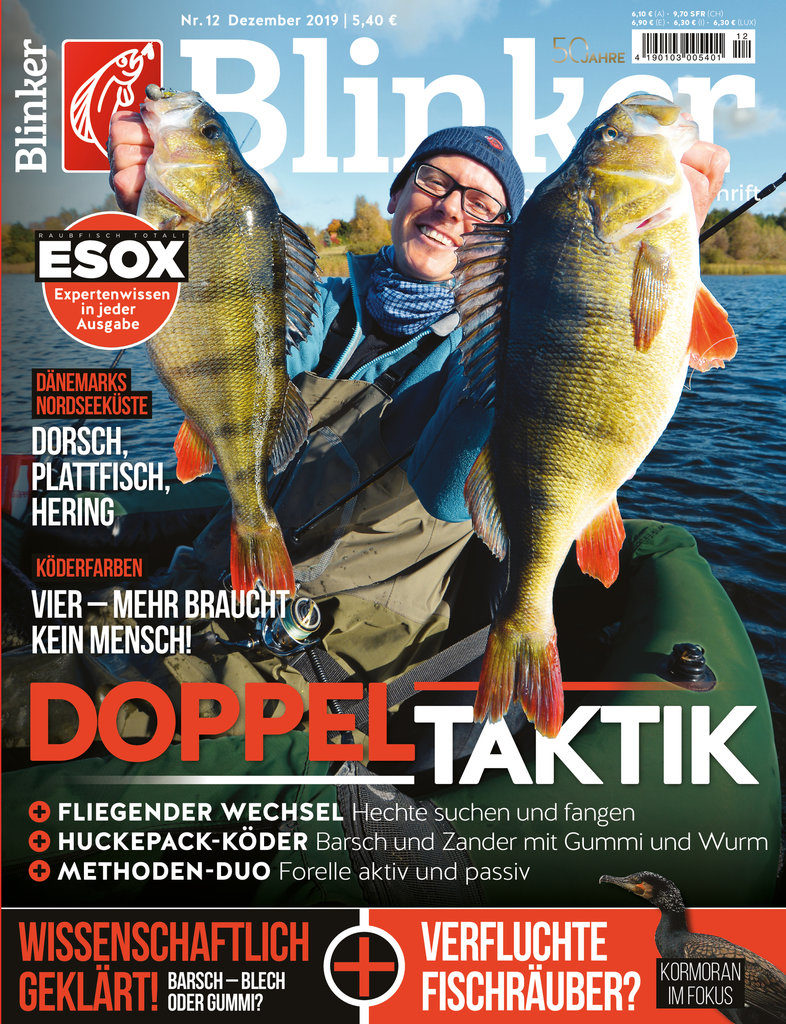 Blinker 12/2019