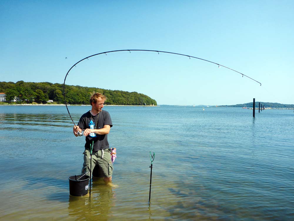 Vom Ufer aus ansitzen: neben Weißfischen sind auch die Räuber gut zu erreichen.