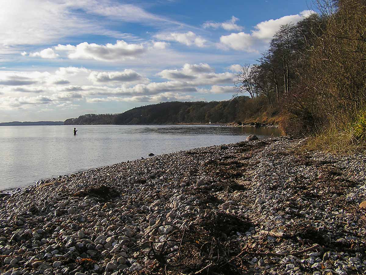 Der Haderslev Fjord ist ein Top-Gebiet für Meerforellen. Foto: Blinker