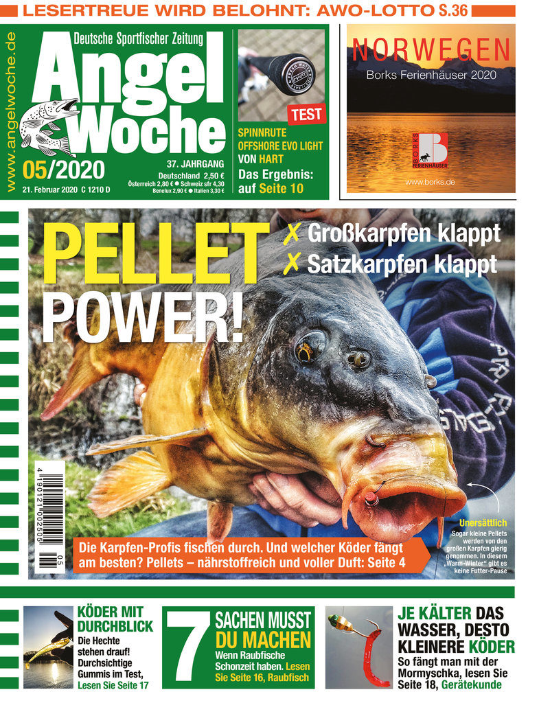 Titelbild AngelWoche Ausgabe 05/2020