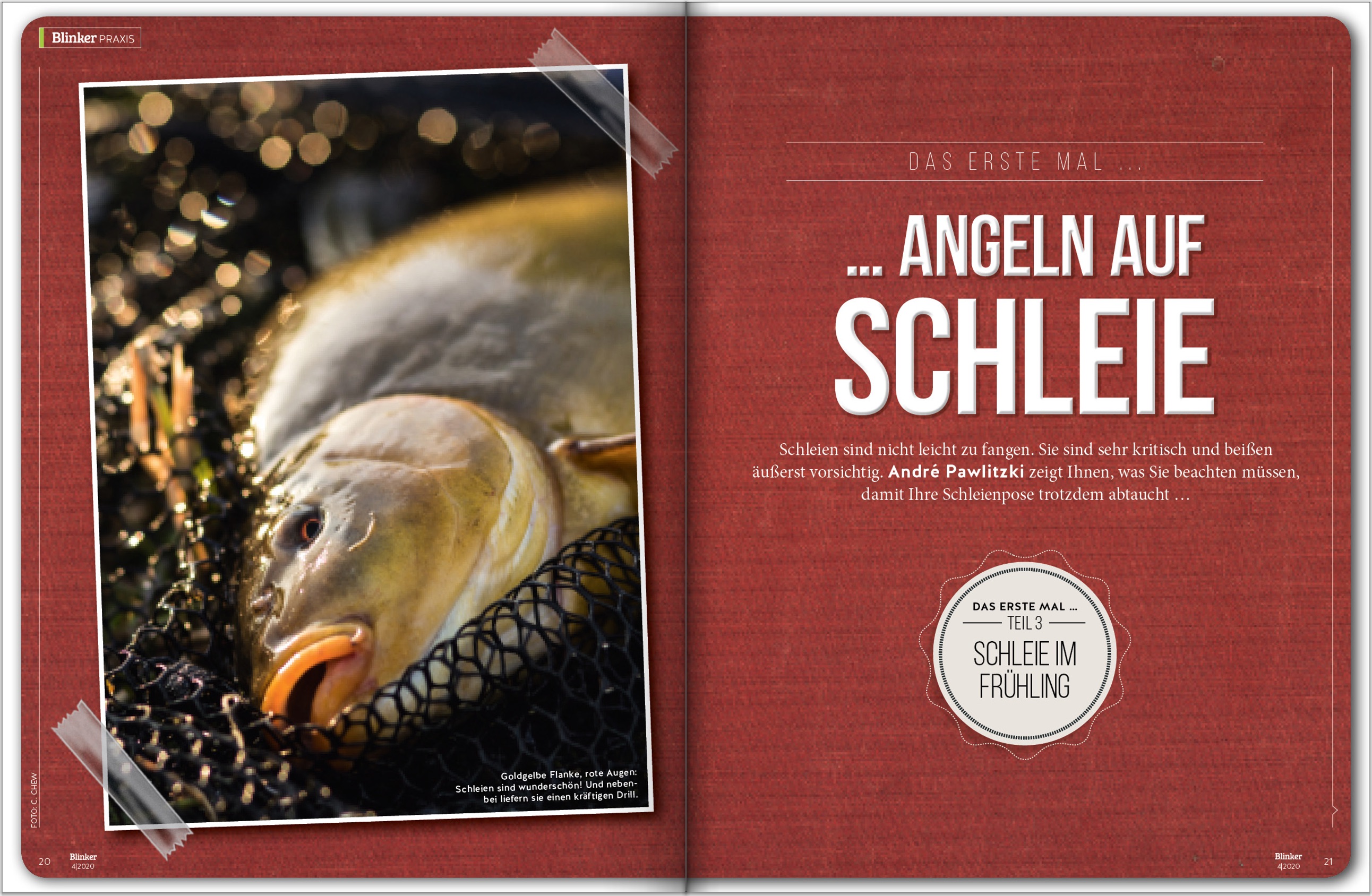 Zahlreiche Tipps und Tricks für das Angeln auf Schleie findest Du im BLINKER 4-20 in diesem Bericht.