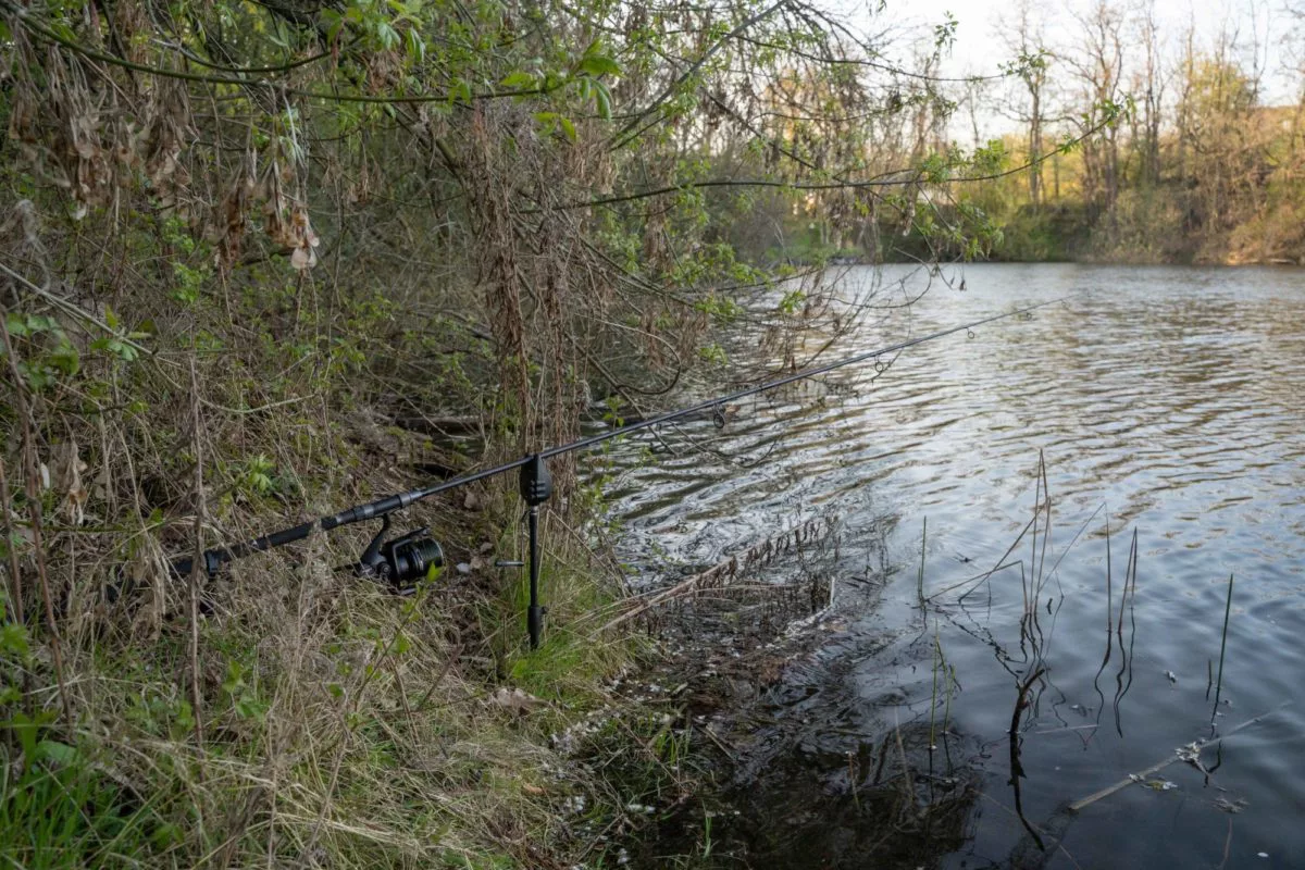 Karpfenrute am Ufer