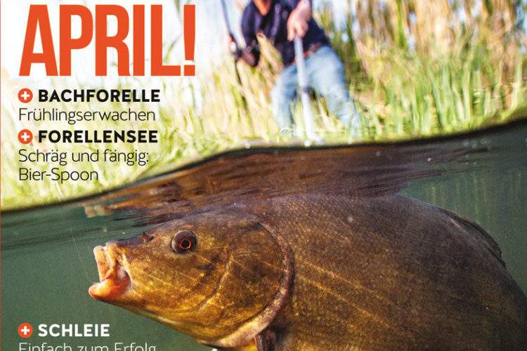 Der neue BLINKER 04/2020 – ab dem 10. März am Kiosk! Bild: BLINKER