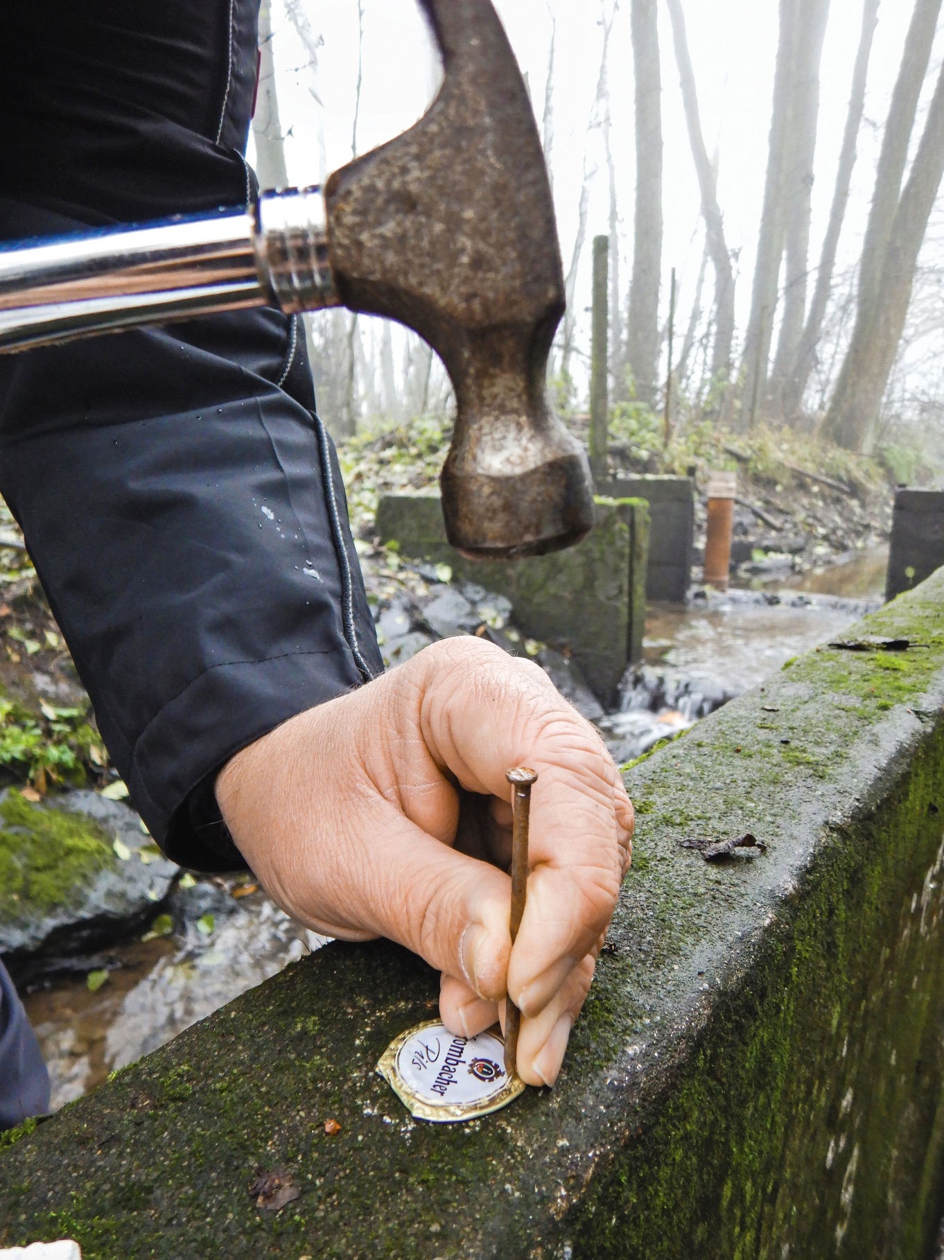 Im nächsten Schritt werden mit einem Nagel Löcher in den Korken geschlagen. Das geht ebenfalls auf der Steinmauer. Wichtig: Die kleinen Löcher sollten so dicht wie möglich am Rand des Blechs liegen. Scharfe Kanten an den Löchern werden vorsichtig „geplättet“.