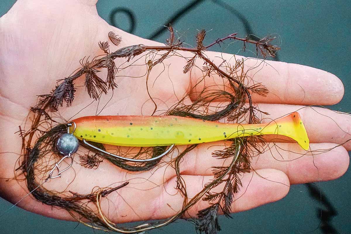 Auch am Offset-Haken „löst“ der Flexifix-Gummi zuverlässig aus. Foto: F. Pippardt